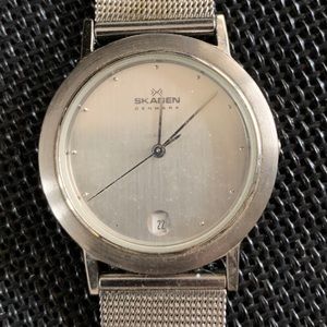Skagen classic mesh link watch